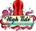 High Tide Aquarium